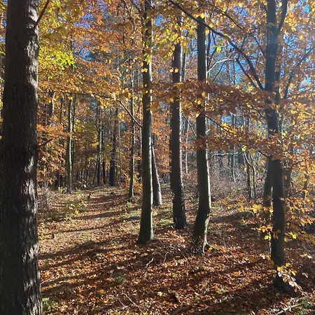 Blue B Debina - Prywatny Taras Na Dachu , 400 M Od Morza, *