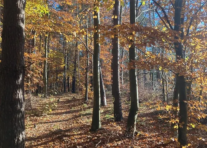 Blue B Debina - Prywatny Taras Na Dachu , 400 M Od Morza, *